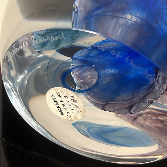 Caithness RARE "Spirits of the Sea" Extra Large 3 Jellyfish Paperweight 3/100 - Picture 9 of 10